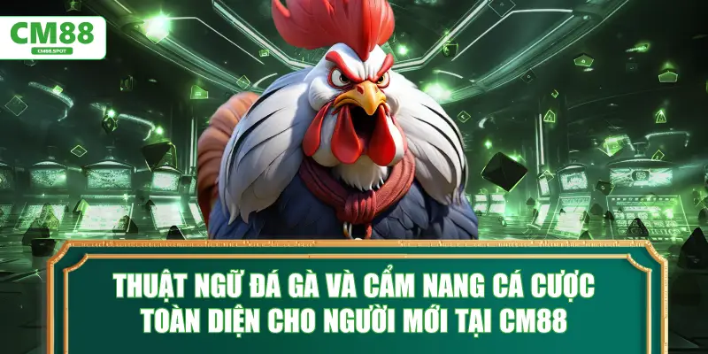 Thuật ngữ đá gà và cẩm nang cá cược cho người mới tại CM88